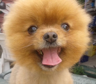 Gucci after shaving